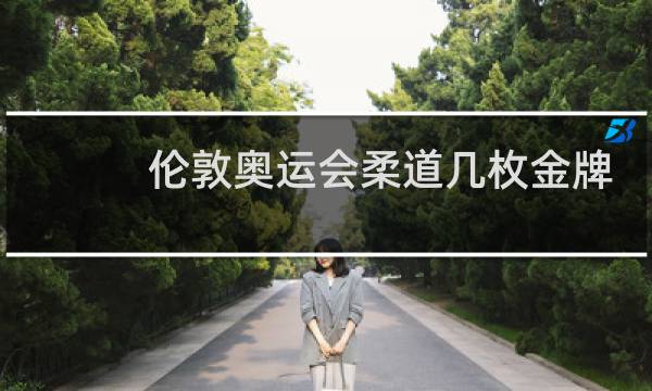 伦敦奥运会柔道几枚金牌图片