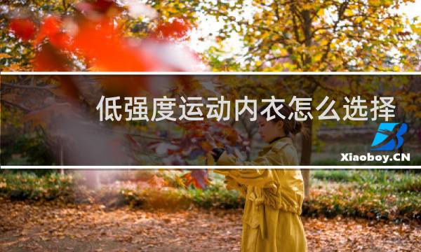 低强度运动内衣怎么选择图片