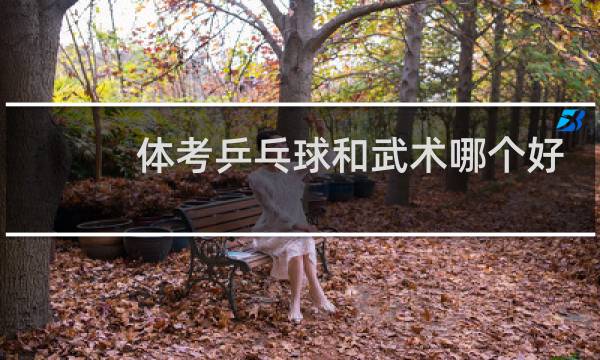 体考乒乓球和武术哪个好学图片