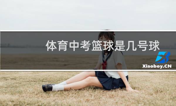 体育中考篮球是几号球图片