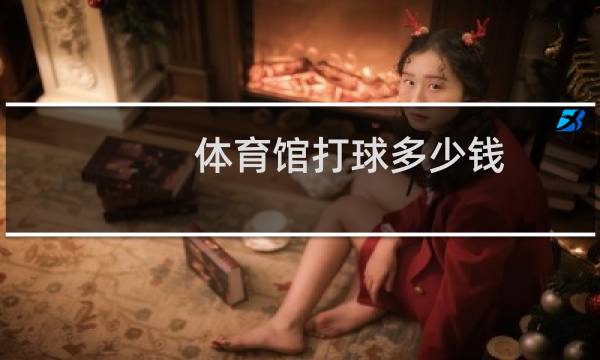 体育馆打球多少钱图片