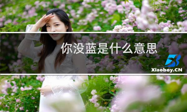 你没蓝是什么意思图片