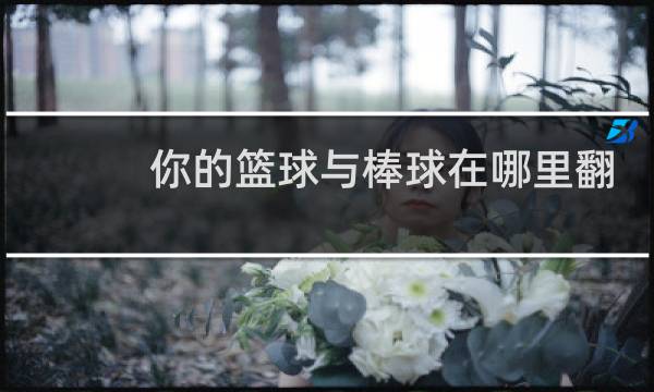 你的篮球与棒球在哪里翻译图片