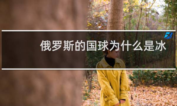 俄罗斯的国球为什么是冰球图片