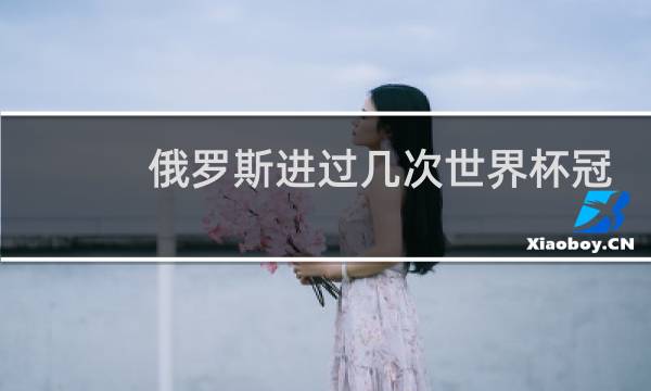 俄罗斯进过几次世界杯冠军图片