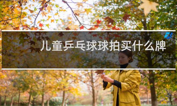 儿童乒乓球球拍买什么牌子好图片