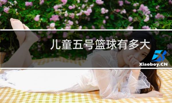 儿童五号篮球有多大图片