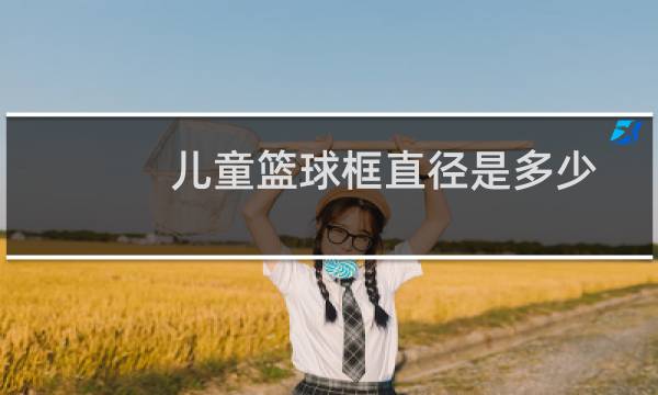 儿童篮球框直径是多少图片