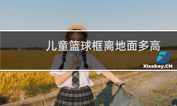 儿童篮球框离地面多高图片