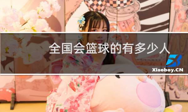全国会篮球的有多少人图片
