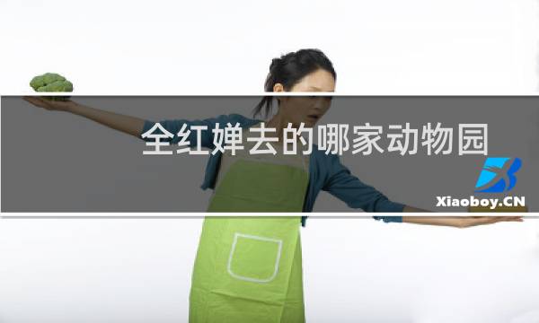 全红婵去的哪家动物园图片