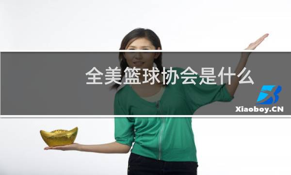 全美篮球协会是什么图片