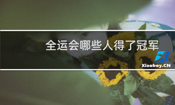 全运会哪些人得了冠军图片