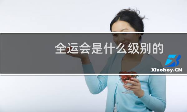全运会是什么级别的图片