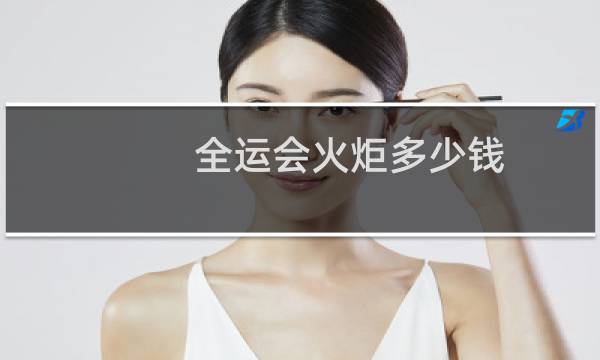 全运会火炬多少钱图片