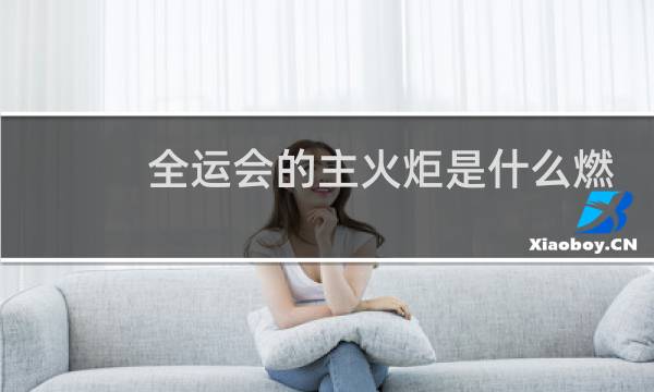 全运会的主火炬是什么燃料图片