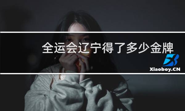 全运会辽宁得了多少金牌图片