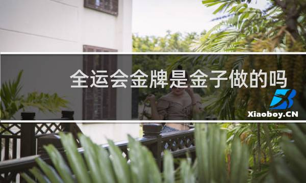 全运会金牌是金子做的吗图片