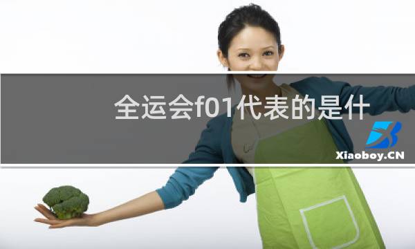 全运会f01代表的是什么图片