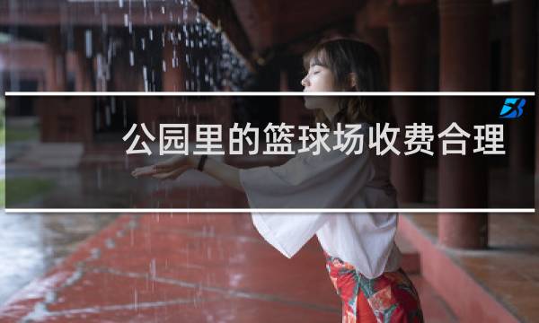 公园里的篮球场收费合理吗图片