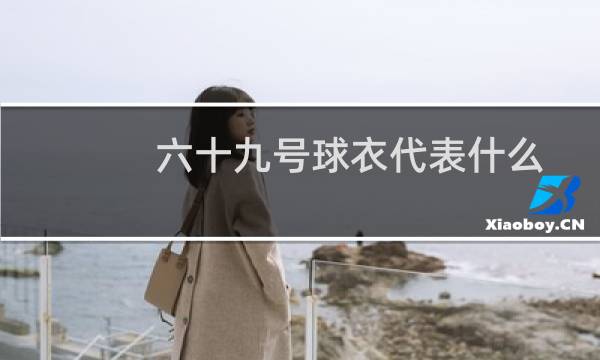 六十九号球衣代表什么图片