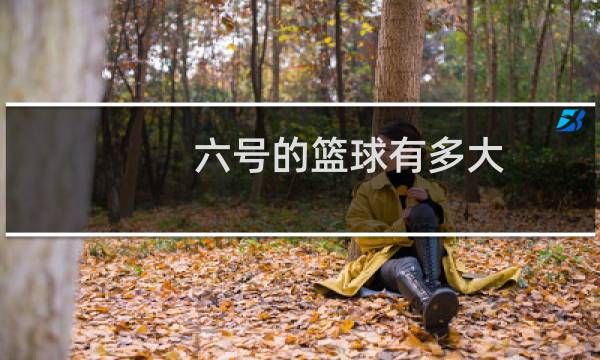 六号的篮球有多大图片