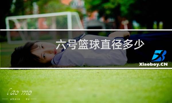 六号篮球直径多少图片