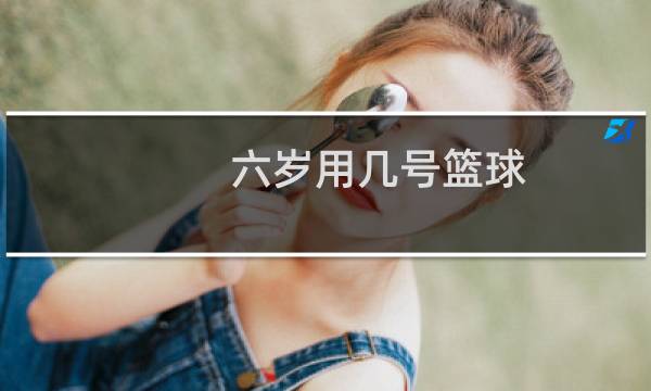 六岁用几号篮球图片
