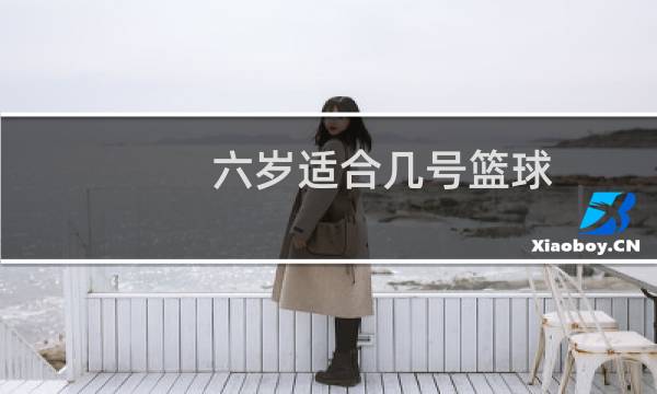六岁适合几号篮球图片