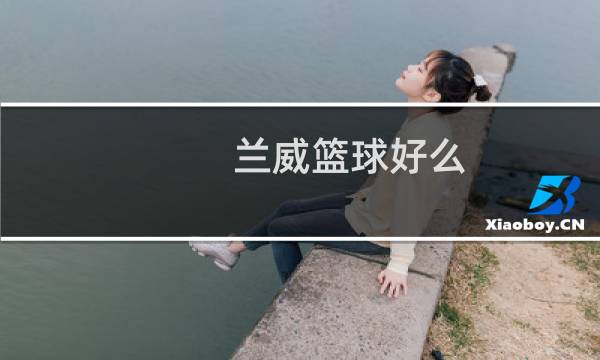 兰威篮球好么图片