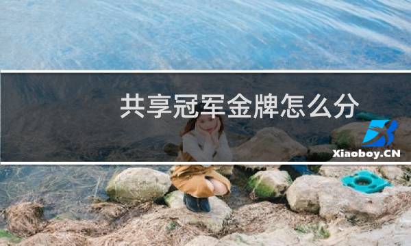 共享冠军金牌怎么分图片