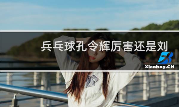 兵乓球孔令辉厉害还是刘国梁厉害图片