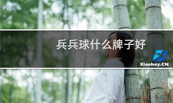 兵兵球什么牌子好图片