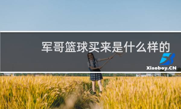 军哥篮球买来是什么样的是正版的图片