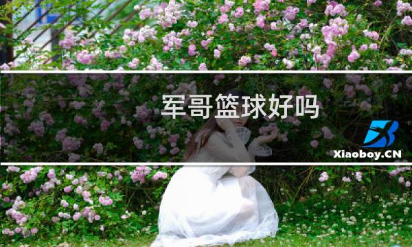 军哥篮球好吗图片