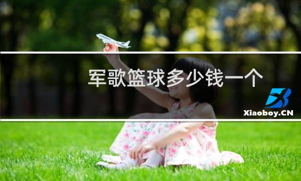 军歌篮球多少钱一个图片
