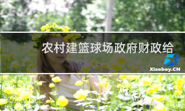 农村建篮球场政府财政给多少补贴图片