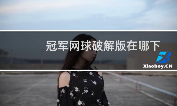 冠军网球破解版在哪下图片
