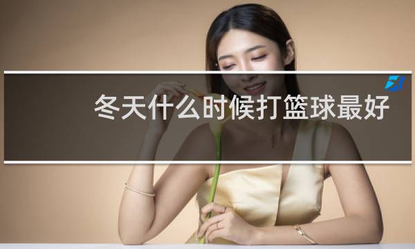 冬天什么时候打篮球最好图片