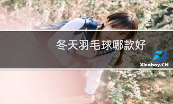 冬天羽毛球哪款好图片
