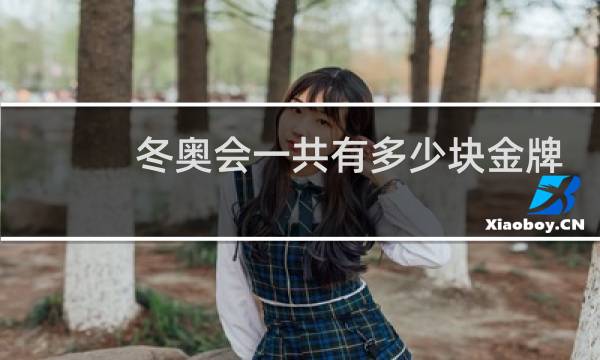 冬奥会一共有多少块金牌图片