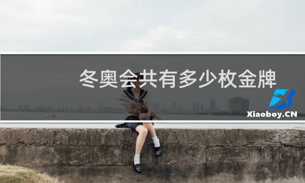 冬奥会共有多少枚金牌图片