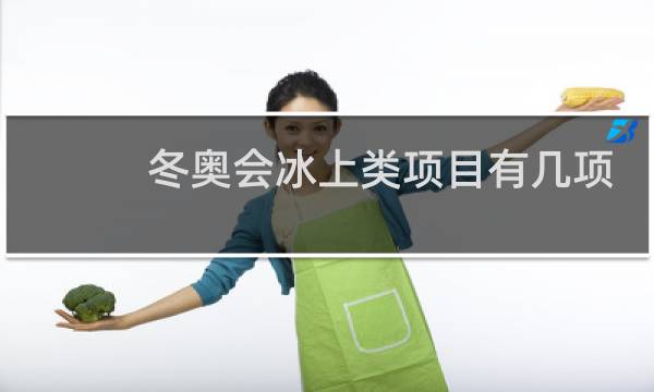冬奥会冰上类项目有几项图片