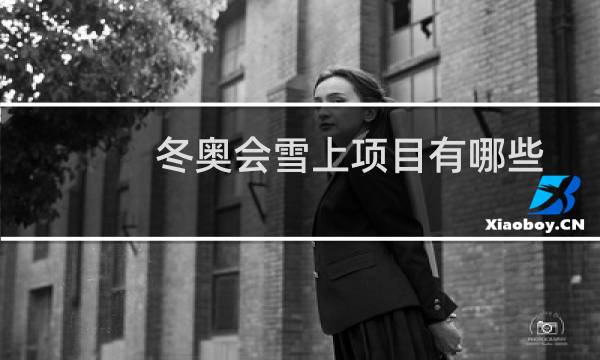 冬奥会雪上项目有哪些图片