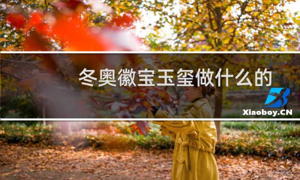 冬奥徽宝玉玺做什么的图片