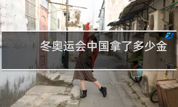 冬奥运会中国拿了多少金牌图片