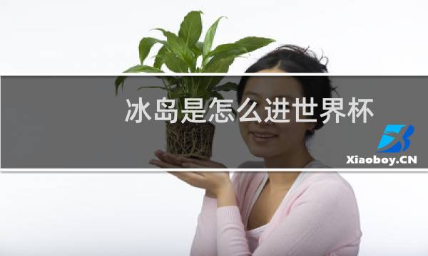冰岛是怎么进世界杯图片