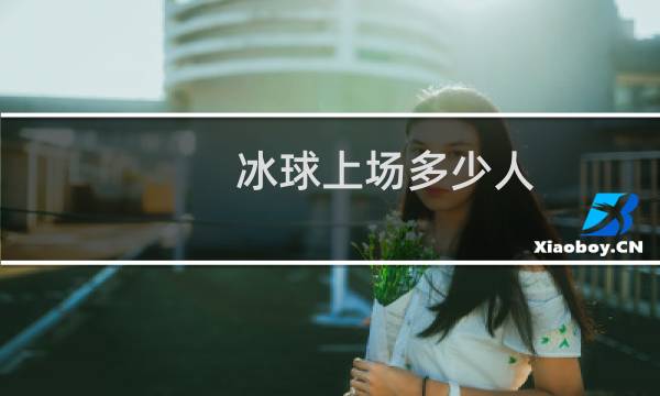 冰球上场多少人图片