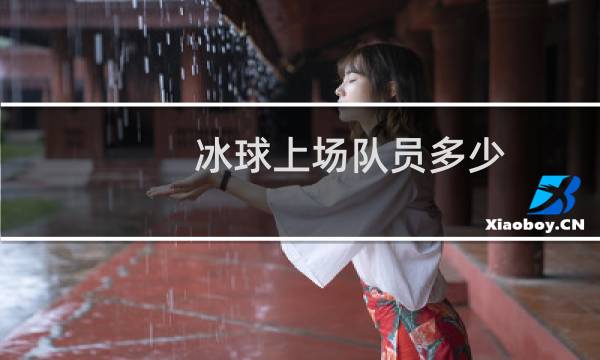 冰球上场队员多少图片