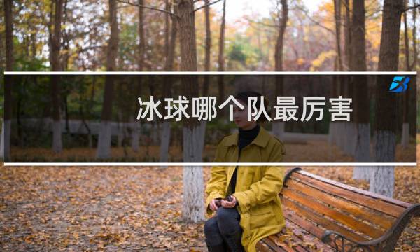冰球哪个队最厉害图片